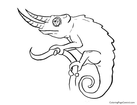Check spelling or type a new query. Chameleon 01 Coloring Page | Coloring Page Central