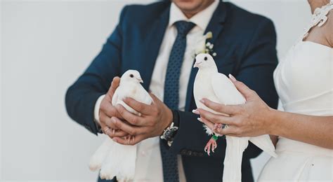 Weddings White Dove Release