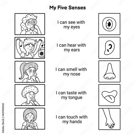 My five senses educational black and white poster for kids. Sight