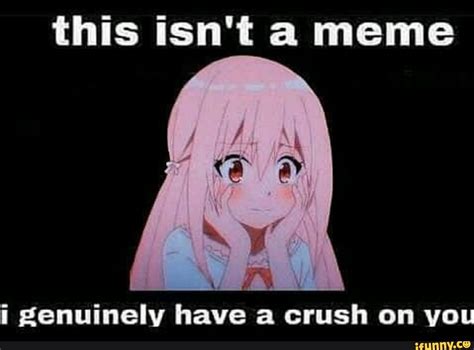 This Isnt A Meme ¡ Genuinely Have A Crush On You Ifunny