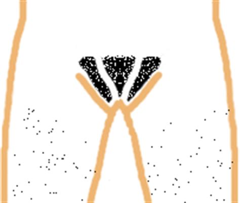 Female spread unshaved genitalia.png 7,390 × 4,910; First pubic hair cut