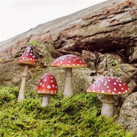Woodland fairies are mythical beings that are the subject of folklore all over the world. Set Of Four Coloured Resin Mushroom or Toadstool Garden ...
