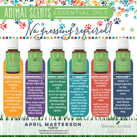 Before you begin using essential oils for pets, you need to know the answers to some important questions: How to Use Essential Oils with Dogs - Part 3 | April Masterson