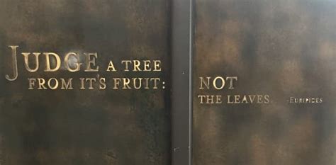 Matthew adds a verse in 7:15. Judge a tree from it's fruit... - Wanda Lopez Designs