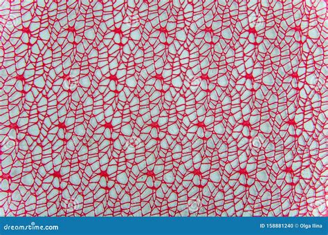 Red Mesh Background On A White Background Stock Photo Image Of