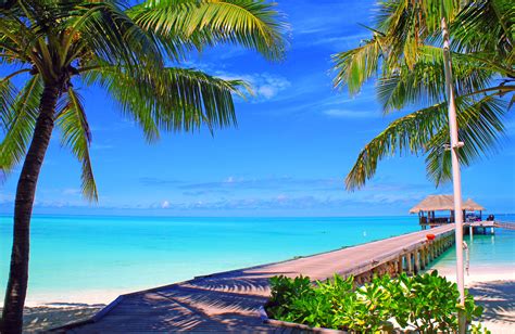 Wallpaper Sea Bay Sky Clouds Beach Coast Palm Trees Resort