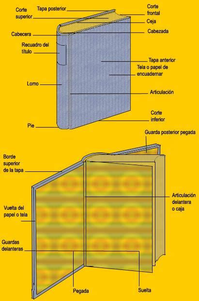 Dibuja un libri con sus partes. Imagenes de las partes de un libro - Imagui