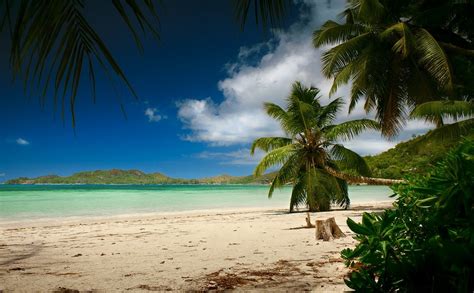Landscape Nature Tropical Beach White Sand Sea Palm Trees Island Summer