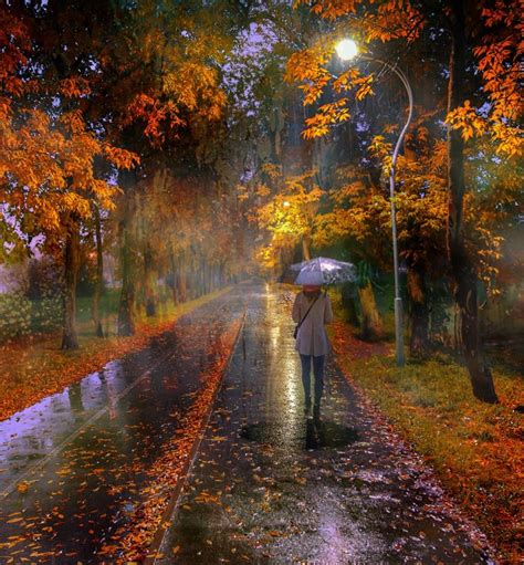 Eduard Gordeev Rainy Day In October Autumn Rain Autumn Scenes
