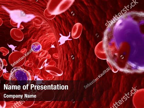 Cardiovascular Blood Cells Red Powerpoint Template Cardiovascular