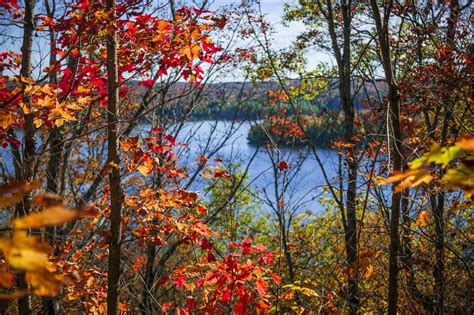 Lake And Fall Forest Scenic Autumn Autumn Lake Lake View