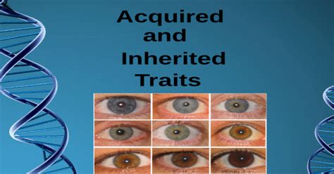 Acquired And Inherited Traits Pptx Powerpoint