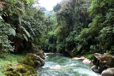 Top 9 Longest Rivers In Ecuador