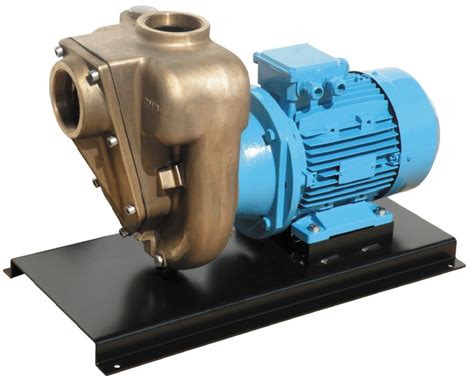 Gmp Eahv 3 Inch Bspf Marine Bronze Self Priming Electric Pump 75 Kw