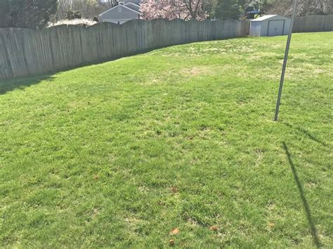 Our professional pest control company in nj eliminates ant infestations, bed bugs and other pests that seem. Pests We Treat - Digger Bees Nesting in Homeowners ...