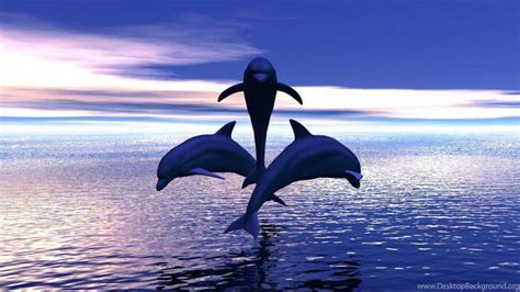 3 Dolphins Jumping Out Of The Water Wallpaper Desktop