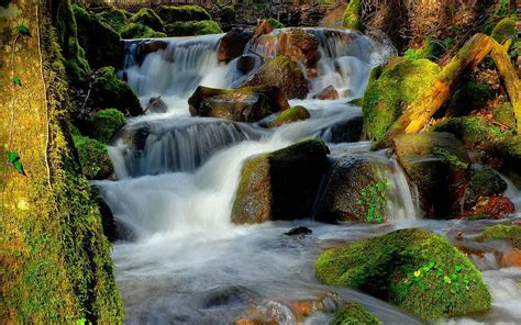 Waterfall Water Rocks Moss Beautiful Hd Wallpaper
