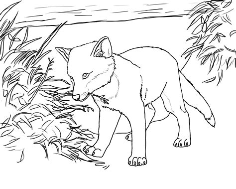 15 interesting fox coloring pages for preschoolers: Fennec Fox Coloring Page at GetDrawings | Free download