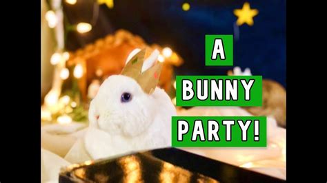 Bunnies Eat A Traditional King Cake To Celebrate A Fun January Holiday Bunny Party