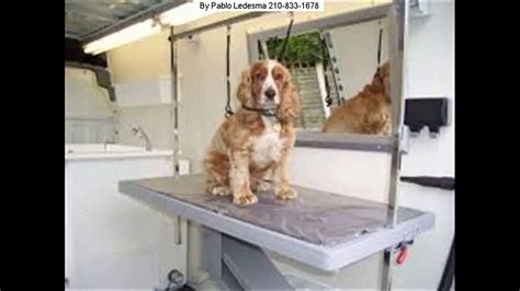 San antonio pet sitting jobs. Best Mobile Pet Grooming San Antonio | 210-908-5449 - YouTube