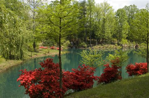 Azalea Path Arboretum And Botanical Gardens In Southern Indiana