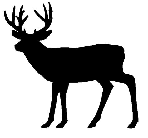 Deer Outline Clipart Black And White 20 Free Cliparts Download Images