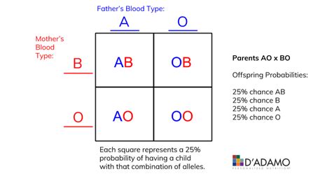 Abo Blood Type Punnett Square