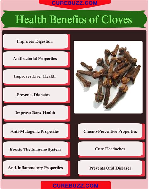 11 Health Benefits Of Cloves Curebuzz