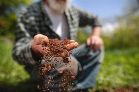How To Organically Raise Ph In Soil Kellogg Garden Organics
