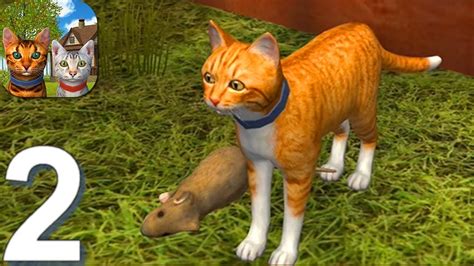 Cat Simulator 2020 Gameplay Walkthrough Part 2 Android Youtube