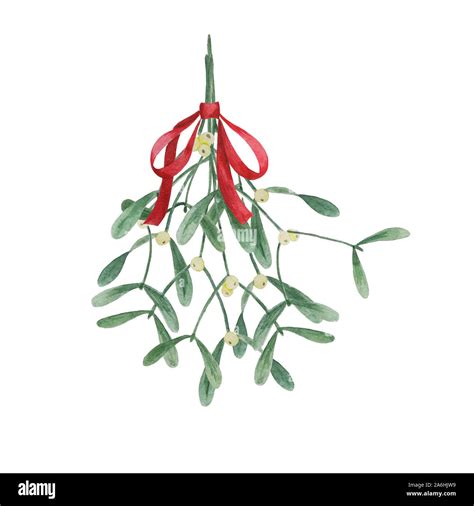 Christmas Traditional Watercolor Hanging Mistletoe Bouquet With Red Bow