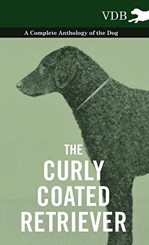 The Curly Coated Retriever A Complete Anthology Of The Dog Vintage
