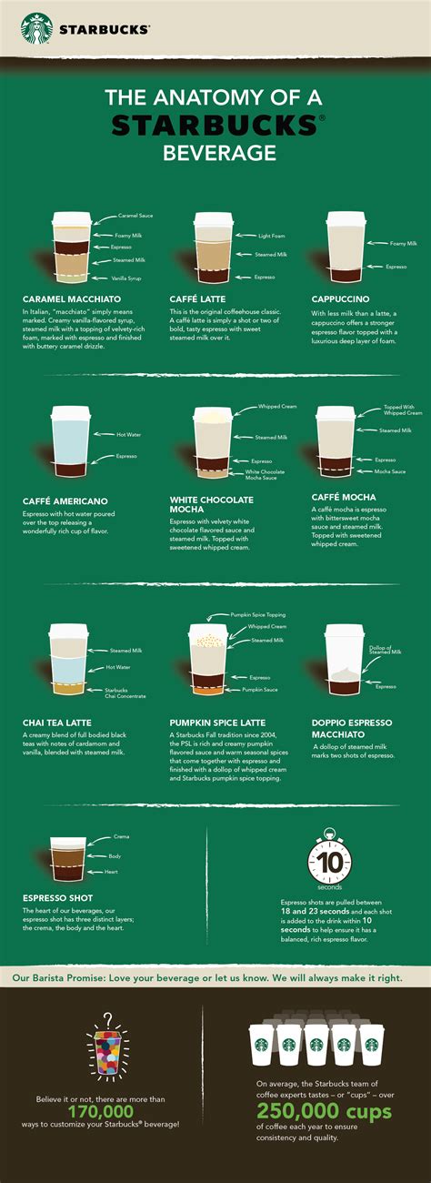 Infographic The Anatomy Of A Starbucks Beverage Starbucks Stories