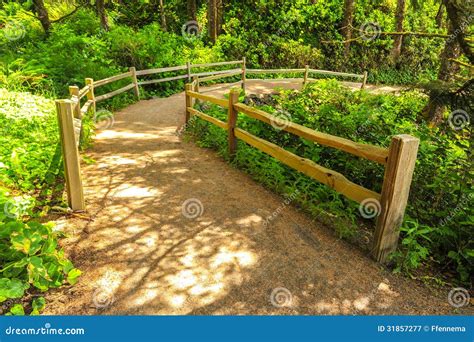 Path Through Forest With Wooden Fence Stock Image Image Of Path