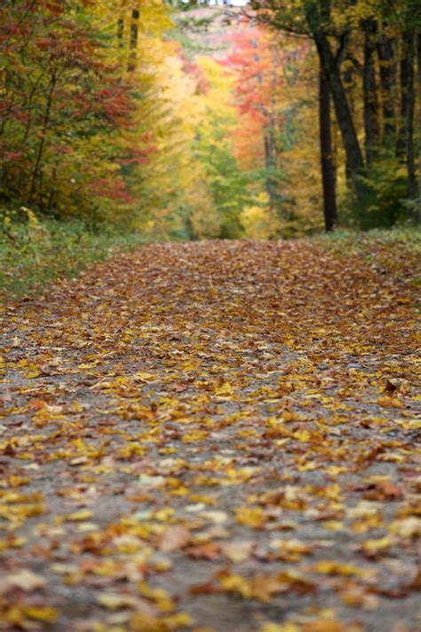 Autumn Hiking Path Royalty Free Stock Photo