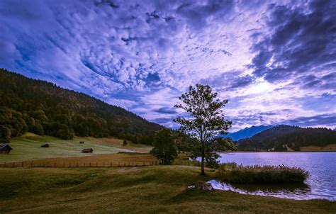 Wallpaper Field Autumn Forest The Sky Grass Mountains Nature