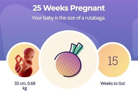 25 Weeks Pregnant What To Expect