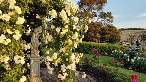 One Of The Best Gardens For Wedding In Adelaide Hills And South Australia