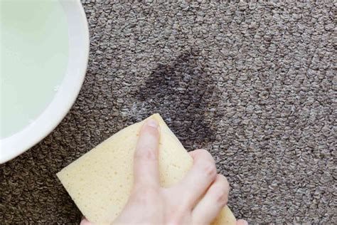 How To Remove Cream Cheese Stains From Clothes Carpet And Upholstery