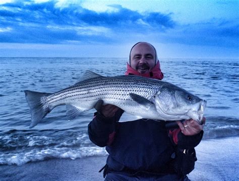 Reflections On Usa Bass Anglers Sportfishing Society