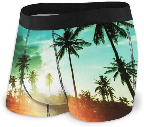 Mens Boxer Briefs Hawaiian Islands Palm Tree Sunset Soft Underwear