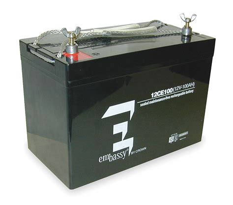 It also can help with dampness, which is helpful because getting rid of mold is the worst. ZOELLER Sump Pump Battery, For Use With 585-0008, 7 hr ...
