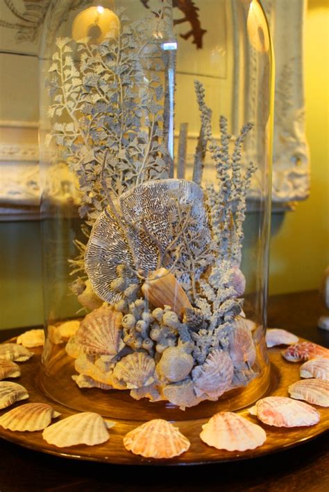 550 x 733 jpeg 77 кб. Striking Shell and Coral Display | Miss Kopy Kat