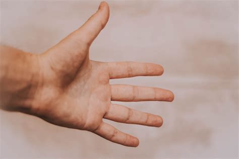 Person Showing Left Hand Photo Free Human Image On Unsplash