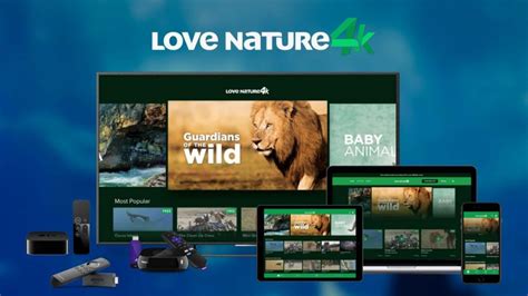 Simplestream Launches Its First 4k Svod Service