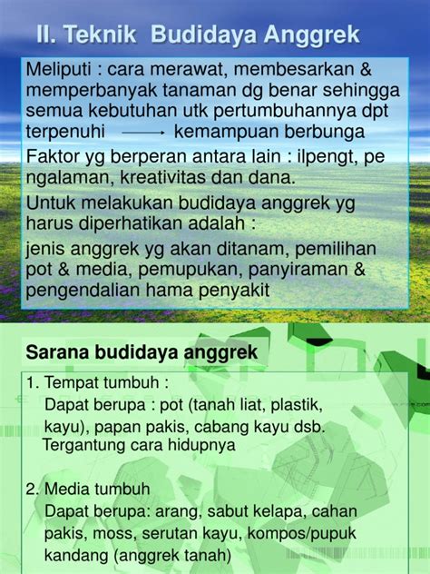 July 2021 (20) june 2021 (170) Media Tanam Yang Berupa Moss Berasal Dari - Berbagi Tanam