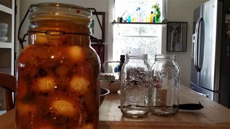 Shannons Spicy Pickled Eggs Recipe