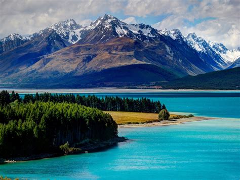 Fonds Décran Lake Tekapo Nouvelle Zélande Montagnes Forêt Arbres