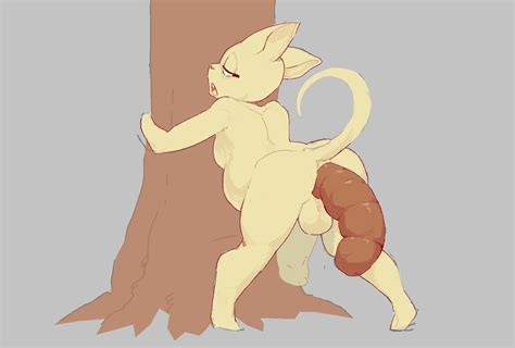 Rule 34 Anthro Backsack Balls Bent Over Biped Domestic Cat Feces