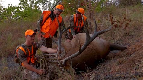 Hunting Eastern Kentucky For A Big Bull Elk Youtube